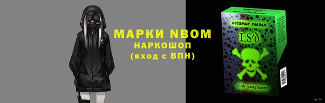 прущие грибы Арсеньев