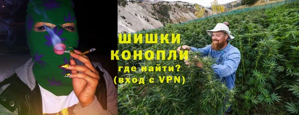 прущие грибы Арсеньев