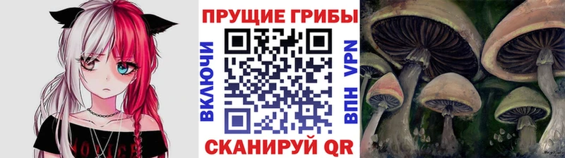 даркнет сайт  Краснообск  Псилоцибиновые грибы Psilocybe 